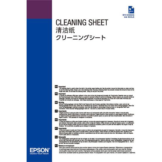 Epson Cleaning arca 
