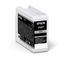 Epson Gray 25 ml cartucho de tinta T46S7