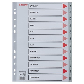 Esselte Register PP A4 Ene-Dic (GB) gris