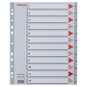 Esselte Registro PP A4 maxi 1-12 gris