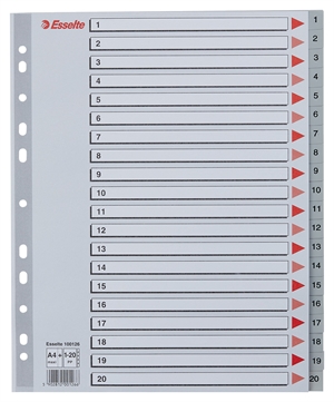 Esselte Registro PP A4 maxi 1-20 gris