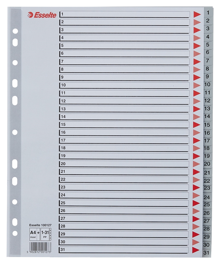 Esselte Registro PP A4 maxi 1-31 gris