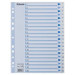 Esselte Register PP A4 1-20 blanco