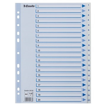 Esselte Register PP A4 1-20 blanco