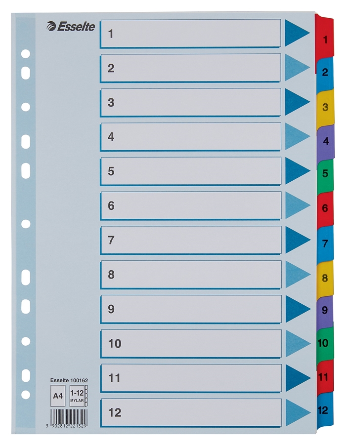 Esselte Registro de cartón Mylar A4 1-12