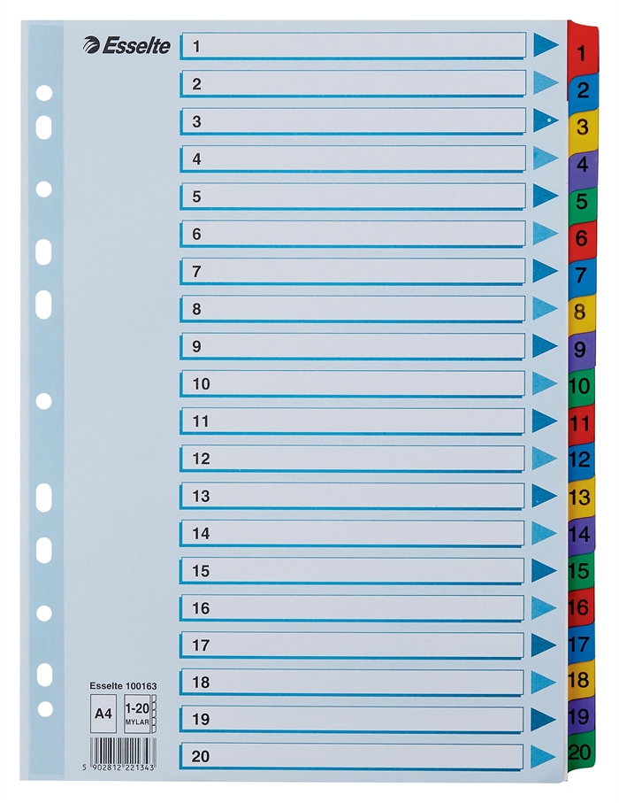 Esselte Registro de cartón Mylar A4 1-20