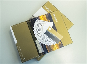 mediaJET muestra de abanico - 50 x 100 mm