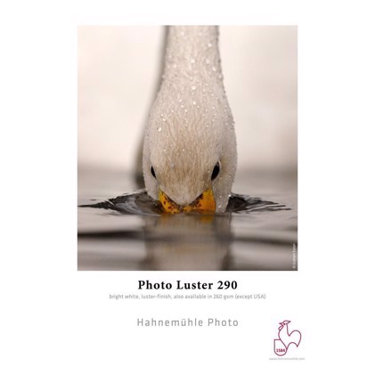 Hahnemühle Photo Luster 290 g/m² - 24" x 30 metros 